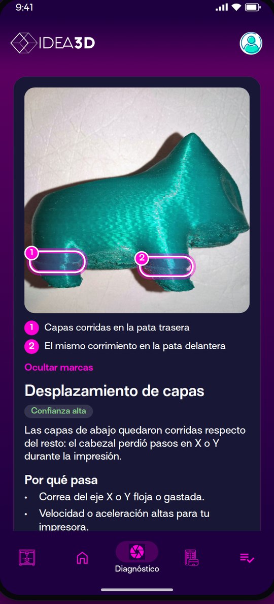 Resultado del diagnóstico con las fallas marcadas sobre la foto